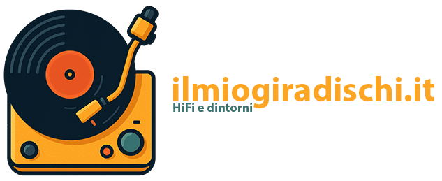 ilmiogiradischi.it